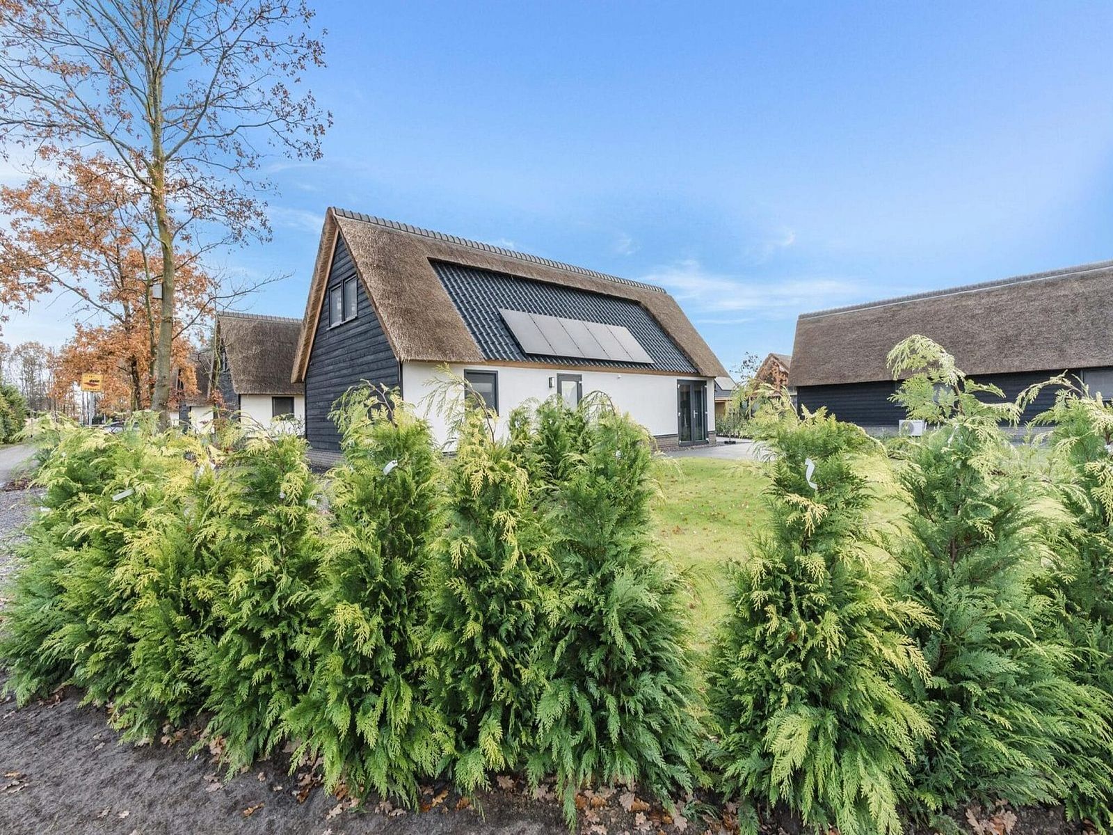 Unterkunft 410848 - Bungalow Kempen - Farm Lodge 677