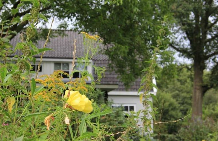 Unterkunft 411105 - Ferienhaus Kempen - Vakantiehuisje in Oirschot