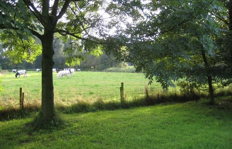 Unterkunft 411105 - Ferienhaus Kempen - Vakantiehuisje in Oirschot