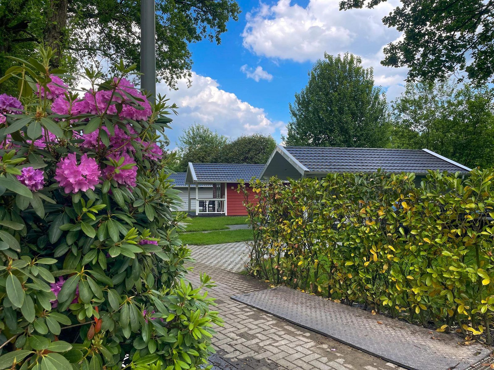 Guest house 411110 - Holiday property Kempen - Ecovilla Boszicht Comfort | 6 personen