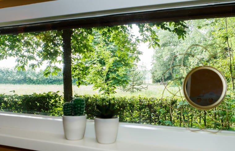 Blick auf die gruene Natur vom Ferienhaus in Oirschot, gelegen in der Region Kempen, Nordbrabant. Idealer Ort fuer Ruhe und Entspannung.