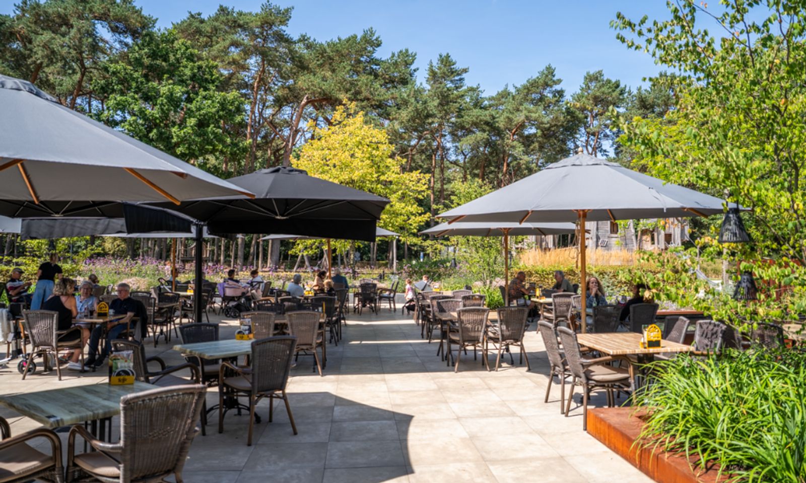 Gezellig terras met parasols bij White Lodge vakantiehuis, Veldhoven, Kempen, Noord Brabant.
