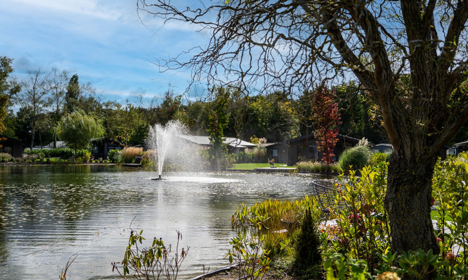 Guest house 411212 - Holiday property Kempen - Wood Lodge Waterkant | 4 personen