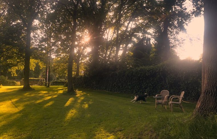 Unterkunft 411613 - Ferienhaus Kempen - Vakantiehuis in Bladel