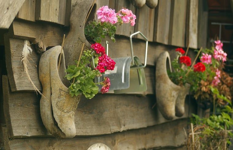 Unterkunft 411613 - Ferienhaus Kempen - Vakantiehuis in Bladel