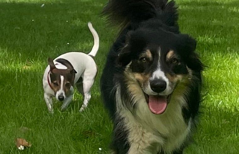 Unterkunft 411613 - Ferienhaus Kempen - Vakantiehuis in Bladel