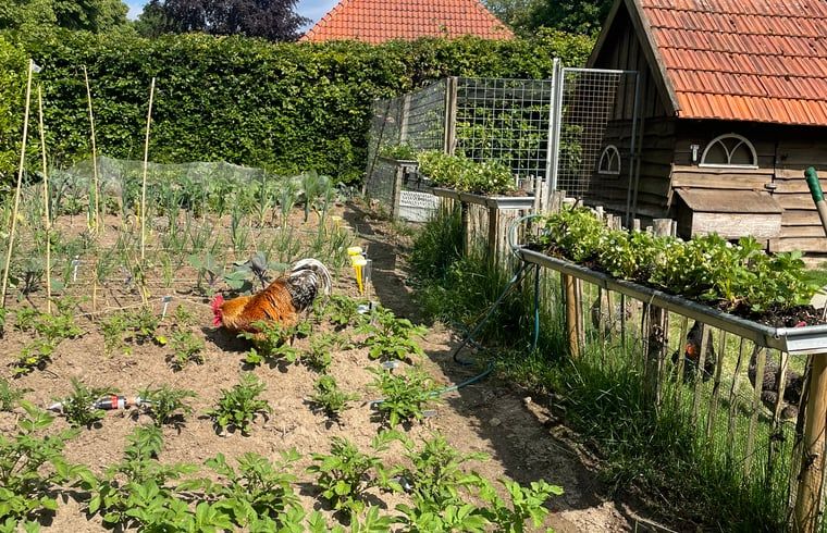 Unterkunft 411613 - Ferienhaus Kempen - Vakantiehuis in Bladel
