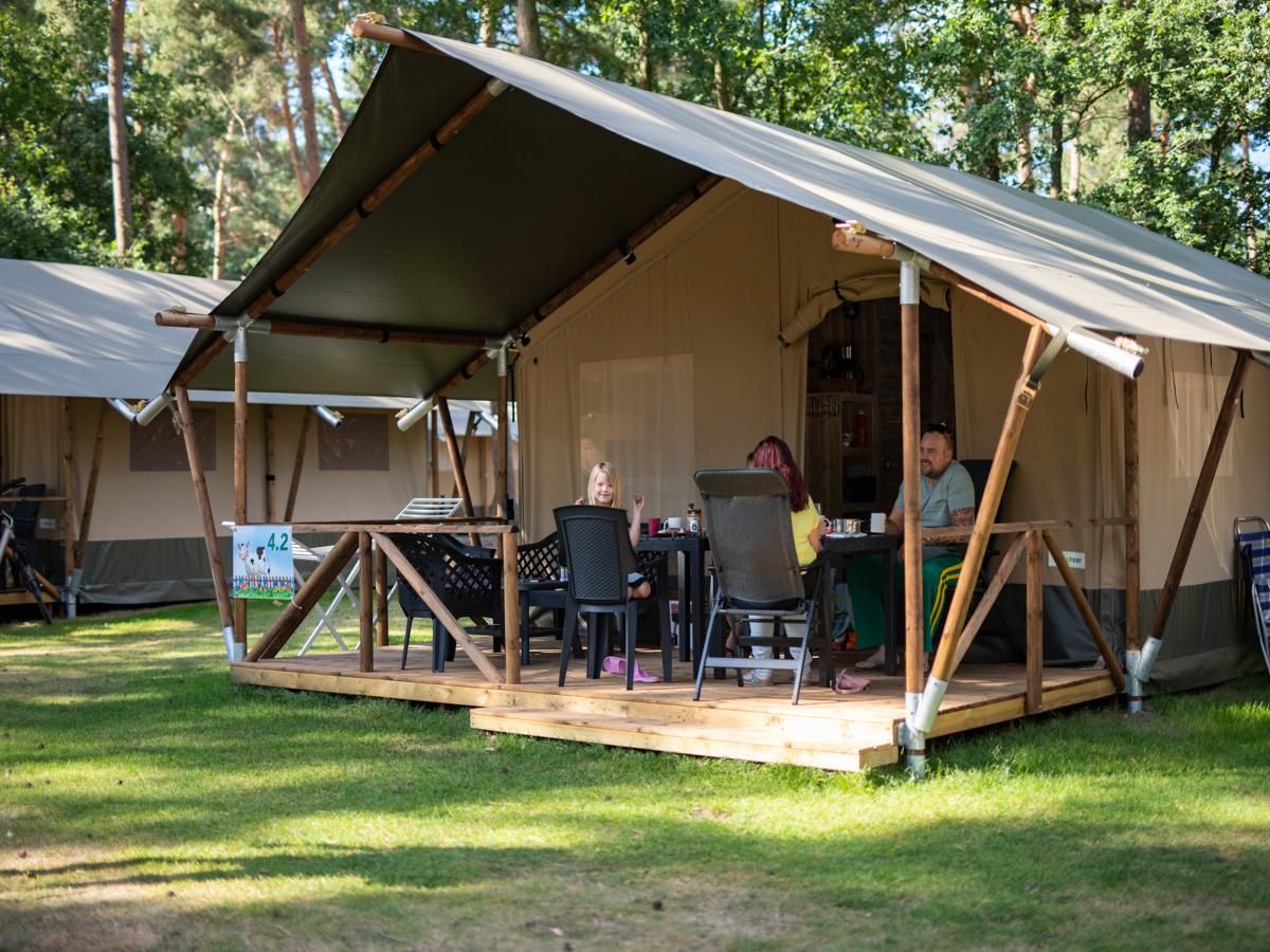 Unterkunft 412006 - Zelthaus Kempen - Safaritent 4