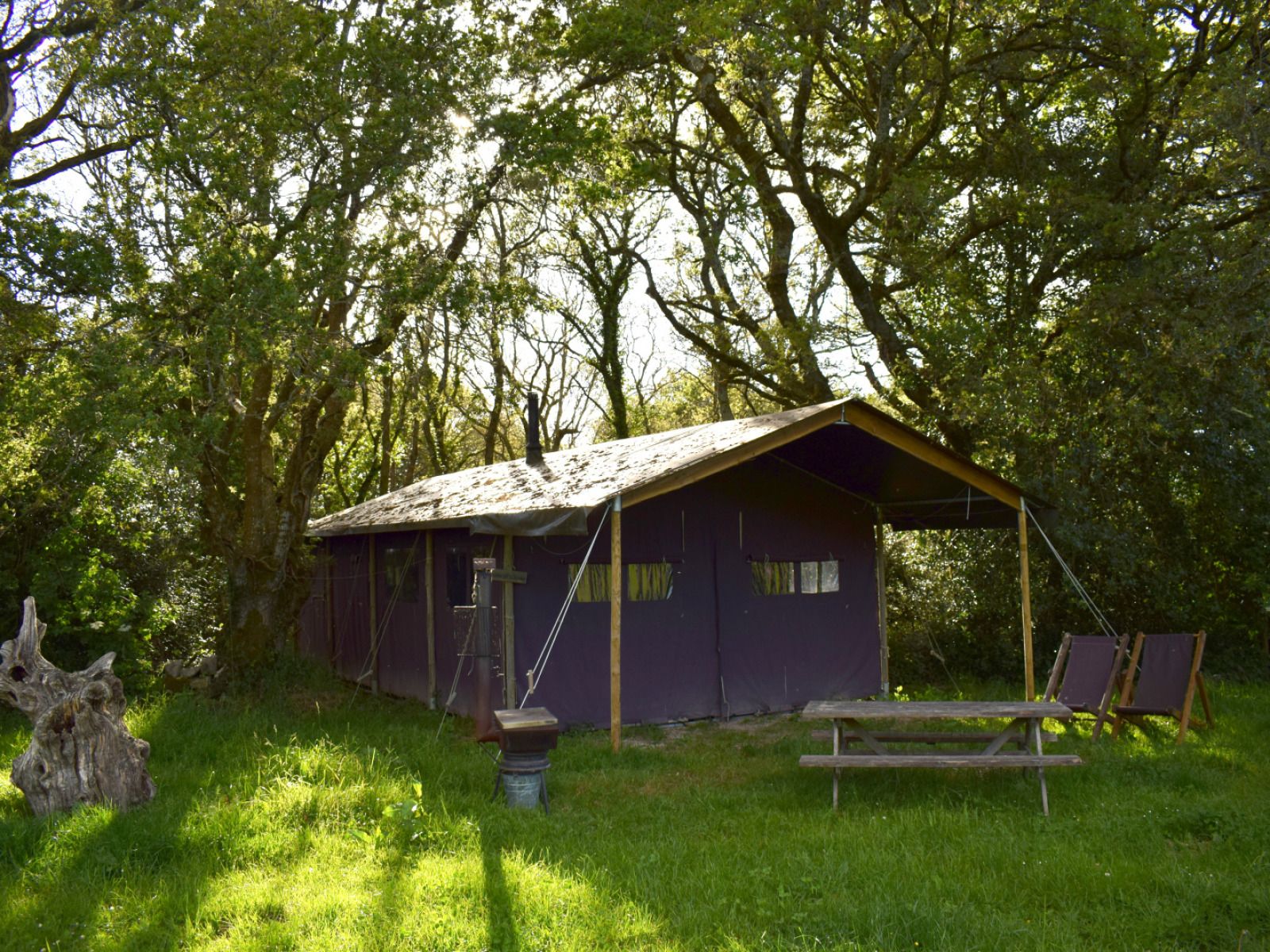 Unterkunft 412204 - Zelthaus Kempen - Tenthuisje met warme privédouche naast de tent