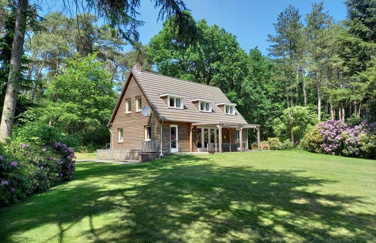 Vakantiehuisje in Luyksgestel omgeven door groene natuur in de Kempen, Noord Brabant.