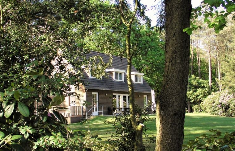Vakantiehuisje in Luyksgestel verscholen tussen de bomen, ideaal voor een rustige vakantie.