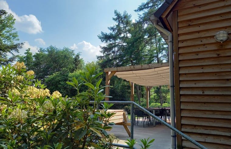 Veranda van Vakantiehuisje in Luyksgestel met uitzicht op de groene omgeving in de Kempen.
