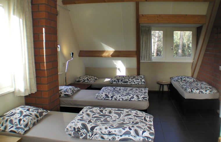 Lichte slaapkamer in Vakantiehuisje in Luyksgestel met meerdere bedden en houten accenten.