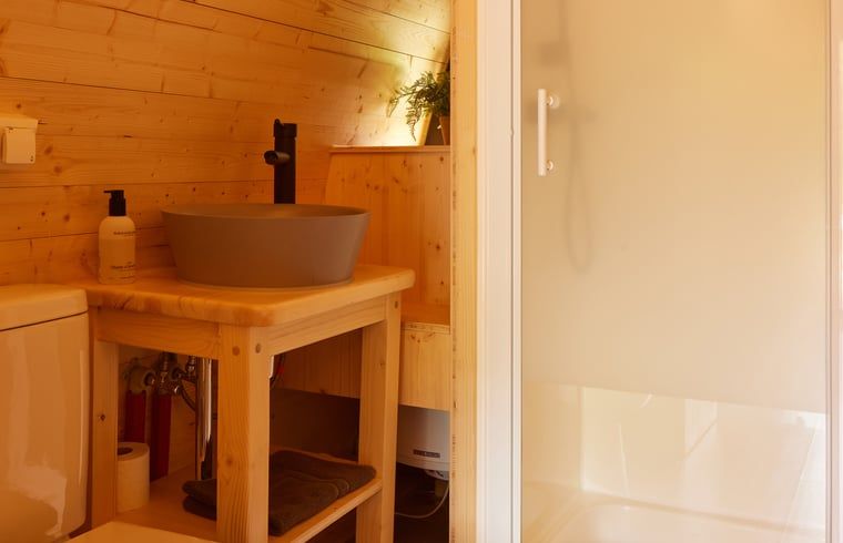 Moderne badkamer van Huisje in Oisterwijk, vakantiehuis in het Hart van Brabant, Noord Brabant, met houten afwerking.