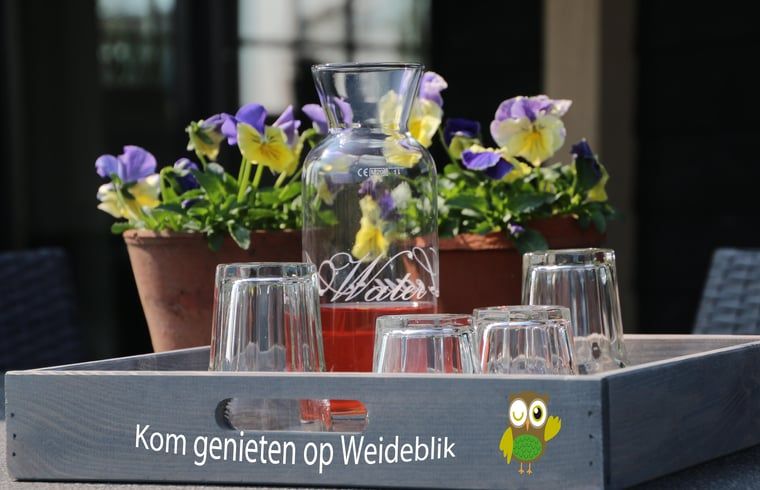 Guest house 420504 - Holiday property Hart van Brabant - Vakantiehuisje in Biezenmortel