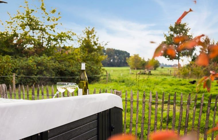 Guest house 421518 - Holiday property Hart van Brabant - Vakantiehuisje in Moergestel