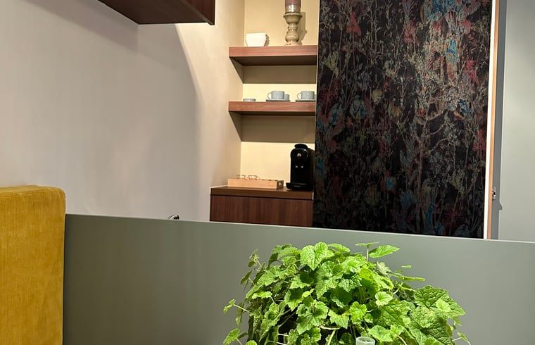 Keuken met kookplaat in Huisje in Moergestel, vakantiehuis in Moergestel, Noord Brabant.