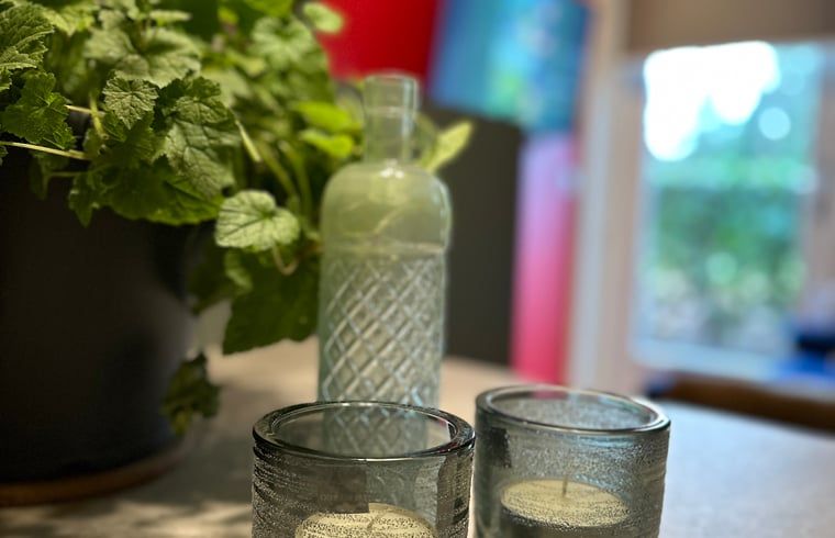 Uitzicht op de tuin vanuit Huisje in Moergestel, vakantiehuis in Moergestel, Noord Brabant.