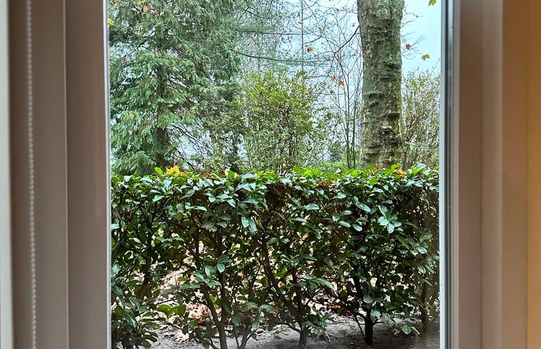 Comfortabele bank in Huisje in Moergestel, vakantiewoning in Hart van Brabant, Noord Brabant.