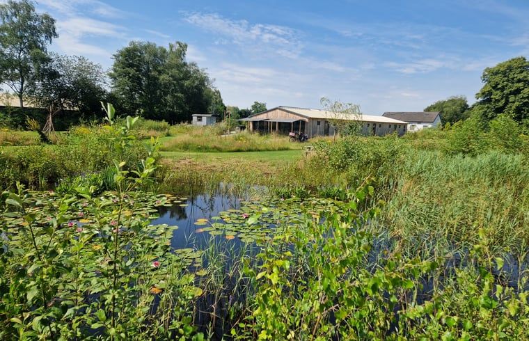 Guest house 421525 - Holiday property Hart van Brabant - Vakantiehuis in Moergestel
