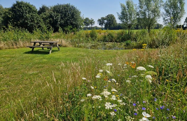Guest house 421525 - Holiday property Hart van Brabant - Vakantiehuis in Moergestel