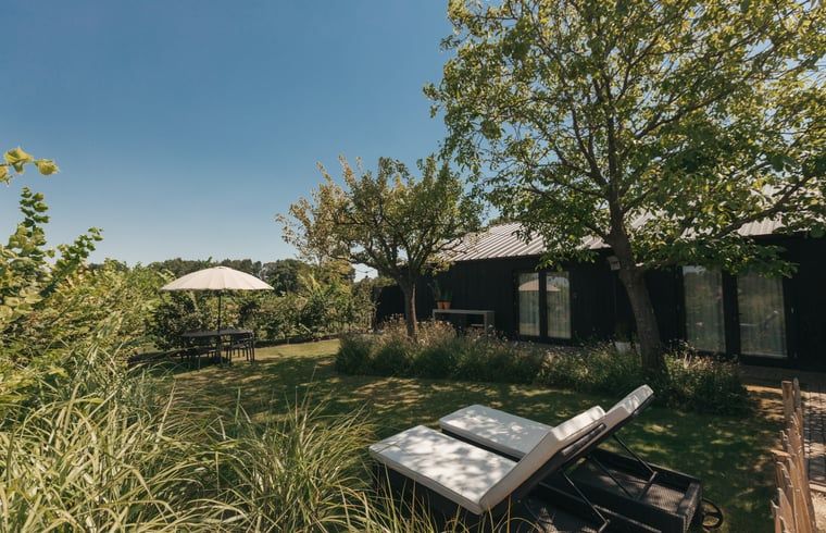 Relaxing garden with deck chairs at Holiday home in Chaam, surrounded by nature in North Brabant.
