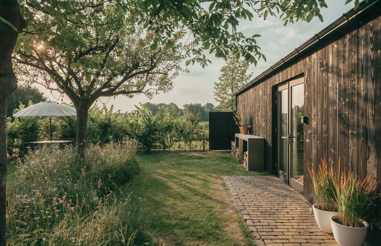 Rustic garden at Holiday home in Chaam, Heart of Brabant with shady spot and landscape views.