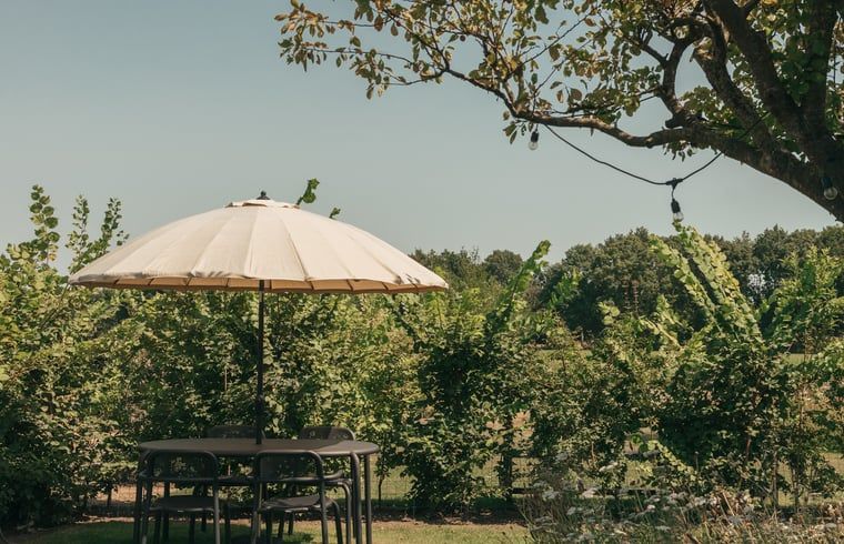 Outdoor dining in the garden of Holiday Home in Chaam, North Brabant under a parasol in Heart of Brabant.