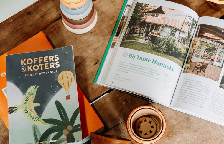 Books and magazines in Holiday home in Chaam, North Brabant, perfect for relaxation in Heart of Brabant.