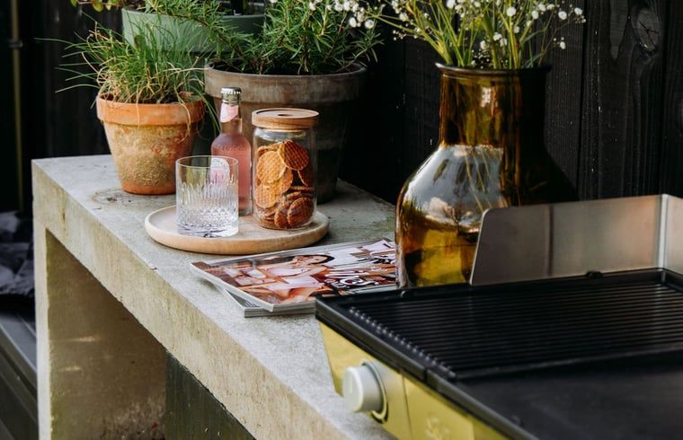 Outdoor kitchen with barbecue in Holiday home in Chaam, North Brabant, ideal for summer meals.