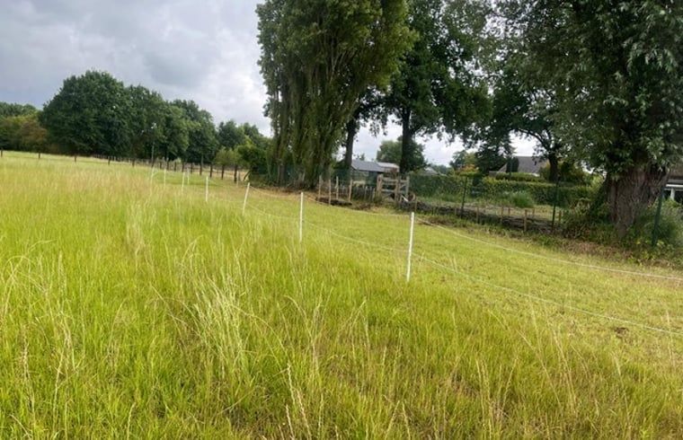 Guest house 421820 - Holiday property Hart van Brabant - Vakantiehuis in Chaam