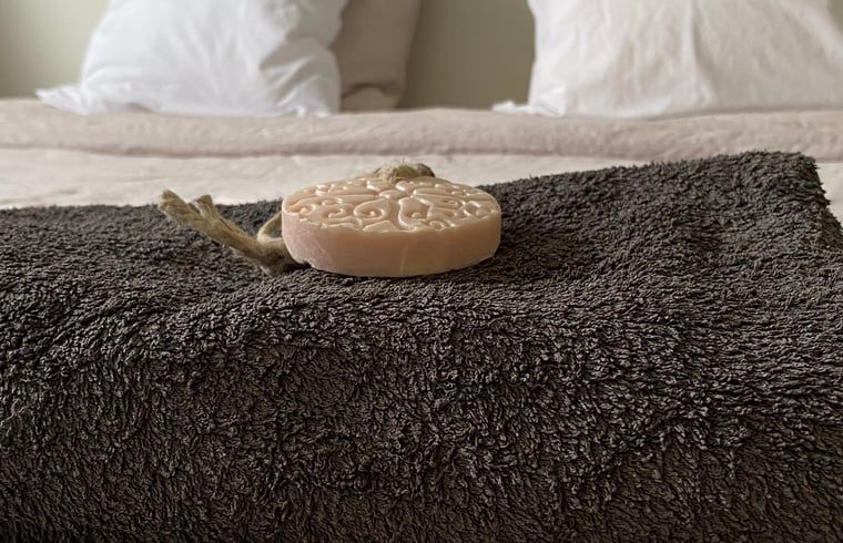 Unterkunft 421830 - Ferienhaus Hart van Brabant - Huisje in Chaam