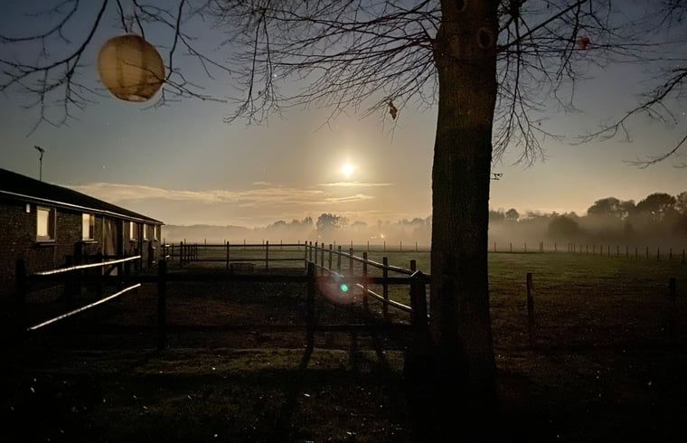 Unterkunft 421830 - Ferienhaus Hart van Brabant - Huisje in Chaam