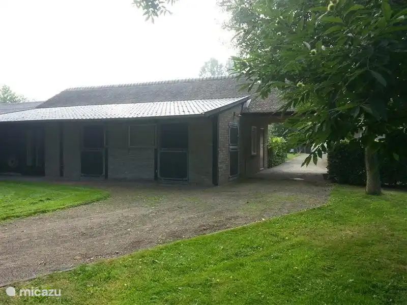 Verblijf 421834 - Vakantiewoning Hart van Brabant - Cottage Dassemus
