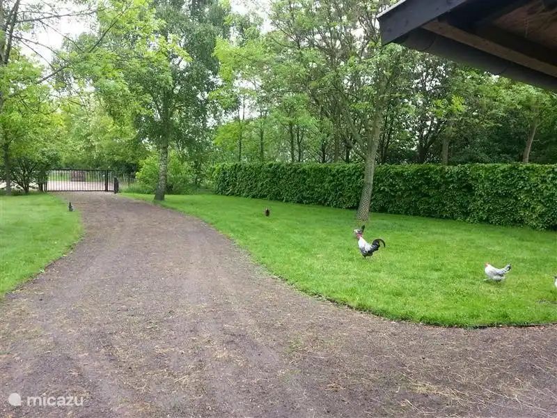 Verblijf 421834 - Vakantiewoning Hart van Brabant - Cottage Dassemus