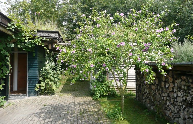 Verblijf 422005 - Vakantiewoning Hart van Brabant - Vakantiehuis in Haaren