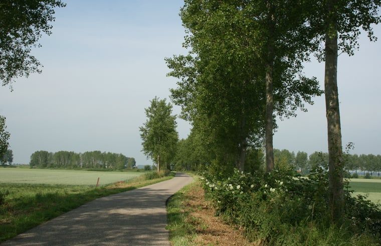 Verblijf 422005 - Vakantiewoning Hart van Brabant - Vakantiehuis in Haaren