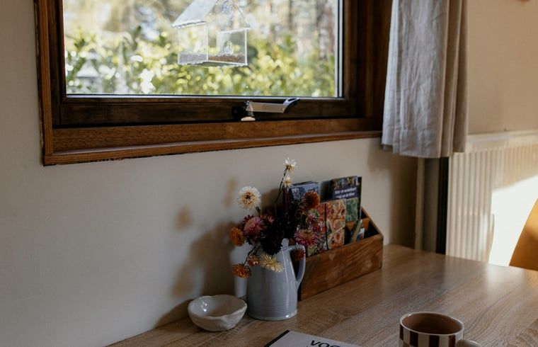 Gezellige leeshoek in Vakantiehuis in Diessen, Hart van Brabant, met bloemen en brochures.