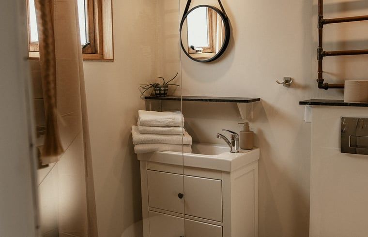 Stijlvolle badkamer in Vakantiehuis in Diessen, Hart van Brabant, met moderne wastafel.