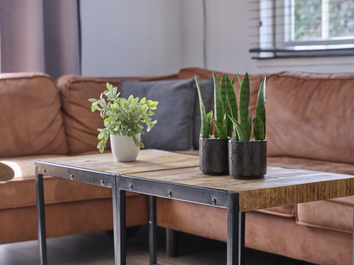 Gezellige zithoek in 't Kaatsheuveltje 1 vakantiehuis in Kaatsheuvel, Hart van Brabant, Noord Brabant met planten