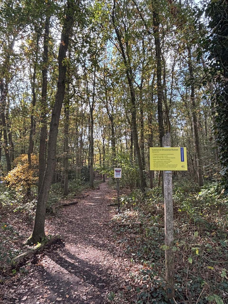 Unterkunft 422565 - Ferienhaus Hart van Brabant - Vrijstaande woning in Kaatsheuvel