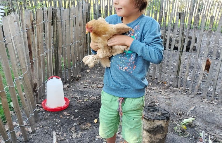 Child with chicken at Huisje in Kaatsheuvel, vacation home in Kaatsheuvel, North Brabant.