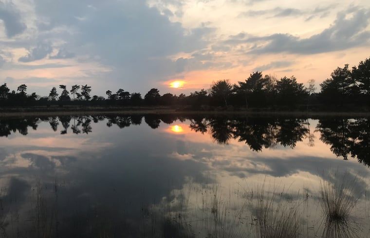 Unterkunft 423004 - Ferienhaus Hart van Brabant - Vakantiehuisje in Leende