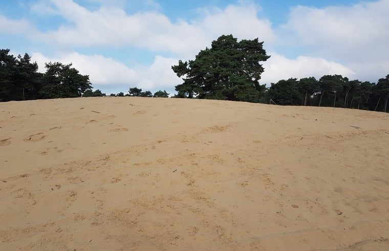 Unterkunft 423004 - Ferienhaus Hart van Brabant - Vakantiehuisje in Leende