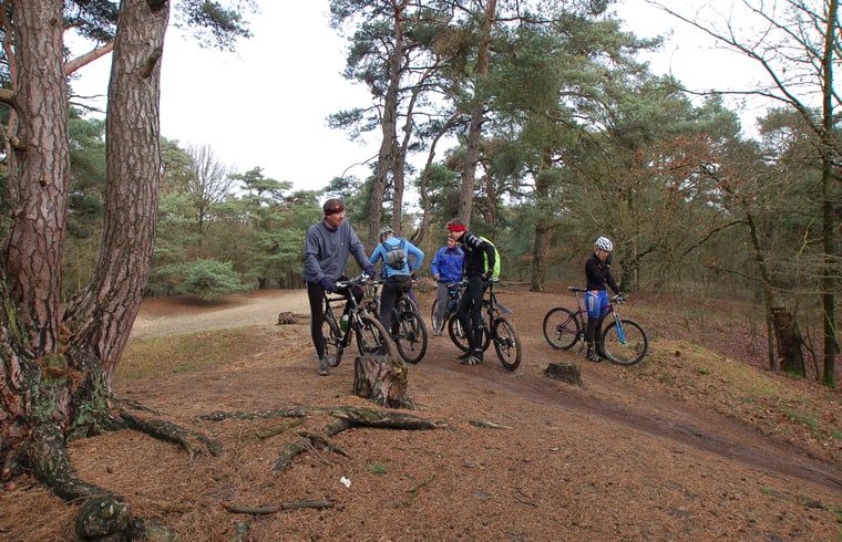 Unterkunft 423004 - Ferienhaus Hart van Brabant - Vakantiehuisje in Leende