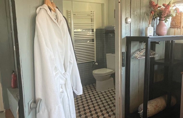 Modern bathroom in Cottage in Hank, vacation home in Heart of Brabant, North Brabant, with luxury amenities.
