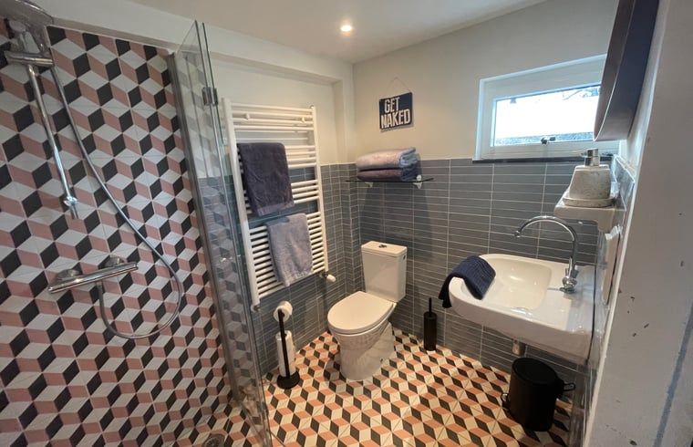 Practical bathroom in Cottage in Hank, vacation home in Hart van Brabant, North Brabant, with stylish tiles.