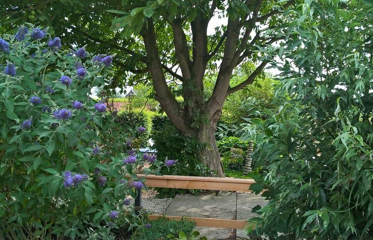 Green garden at Cottage in Hank, vacation home in Heart of Brabant, North Brabant, ideal for nature lovers.