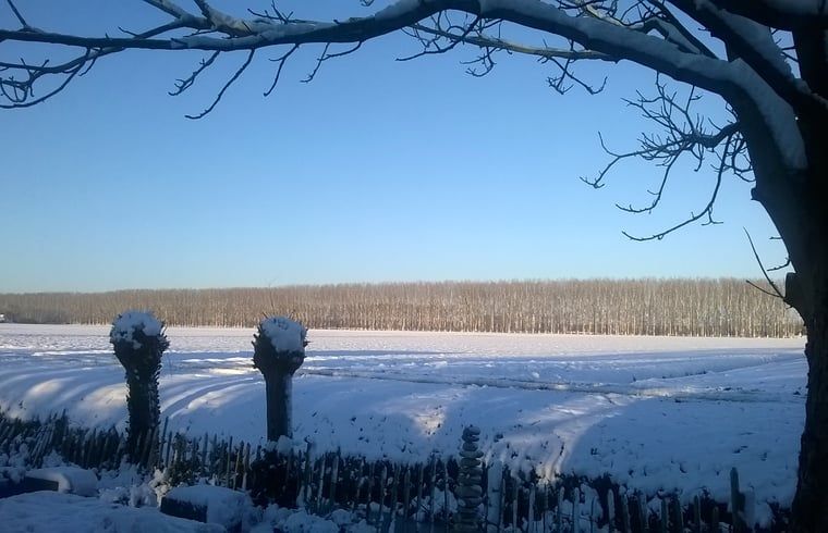 Snowy landscape around Cottage in Hank, vacation home in Heart of Brabant, North Brabant, with serene views.