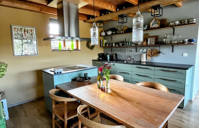 Moderne keuken in Vakantiehuisje in Gemonde, ideaal voor culinaire avonturen in Noord Brabant.